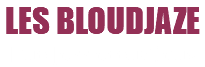 LES BLOUDJAZE Duo Jazz acoustique