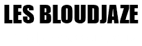 LES BLOUDJAZE Duo Jazz acoustique